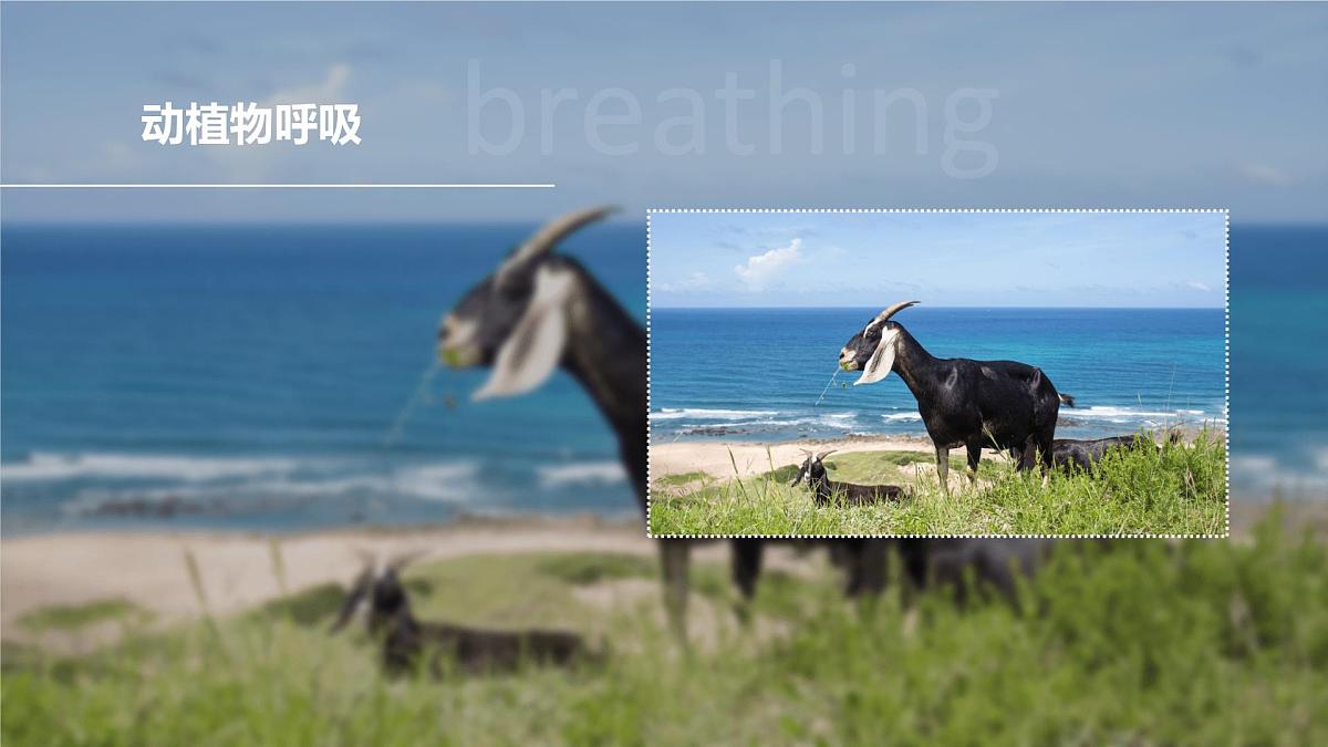 2025年秋人教版九年级化学上册 2.1.2  空气是一种宝贵的资源  保护大气环境（课件）第6页