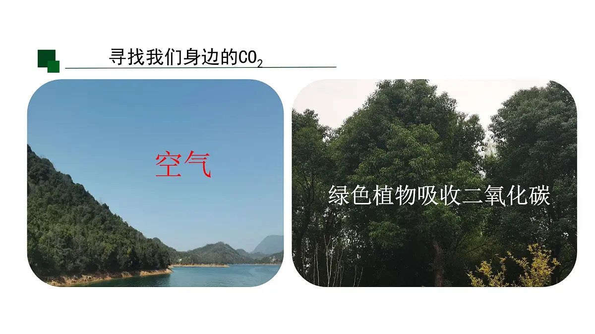 九年级上册化学人教版（2024） 第六单元实验活动3二氧化碳的实验室制取与性质(1)课件第2页