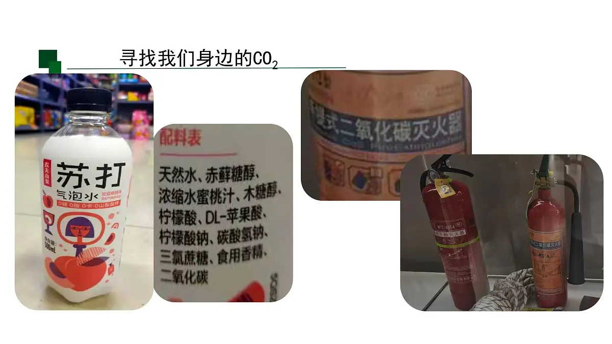 九年级上册化学人教版（2024） 第六单元实验活动3二氧化碳的实验室制取与性质(1)课件第3页