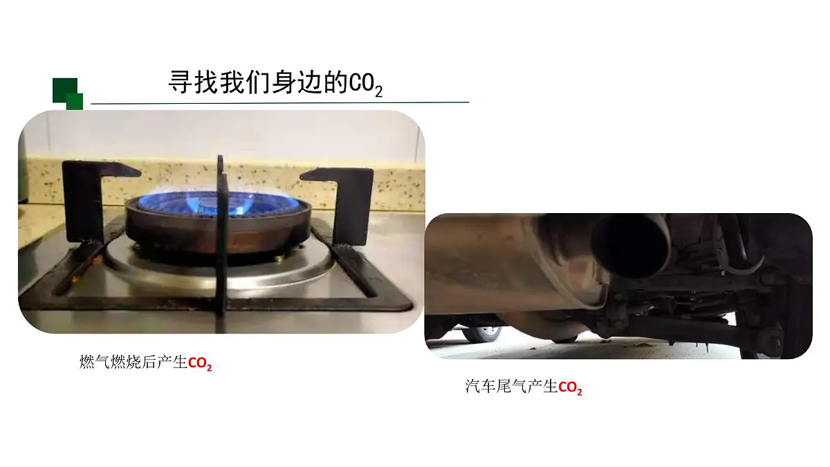 九年级上册化学人教版（2024） 第六单元实验活动3二氧化碳的实验室制取与性质(1)课件第4页