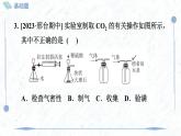 九年級上冊化學(xué)人教版（2024） 第六單元實(shí)驗(yàn)活動3二氧化碳的實(shí)驗(yàn)室制取與性質(zhì)課時(shí)訓(xùn)練課件