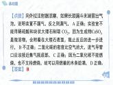 九年級上冊化學(xué)人教版（2024） 第六單元實(shí)驗(yàn)活動3二氧化碳的實(shí)驗(yàn)室制取與性質(zhì)課時(shí)訓(xùn)練課件