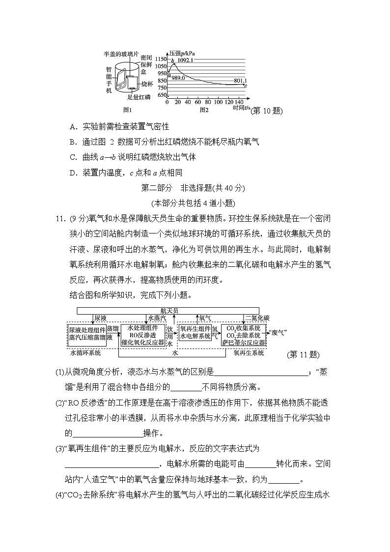 九年级化学上册第一学期期中综合测试卷（人教辽宁版 2024年秋）第3页
