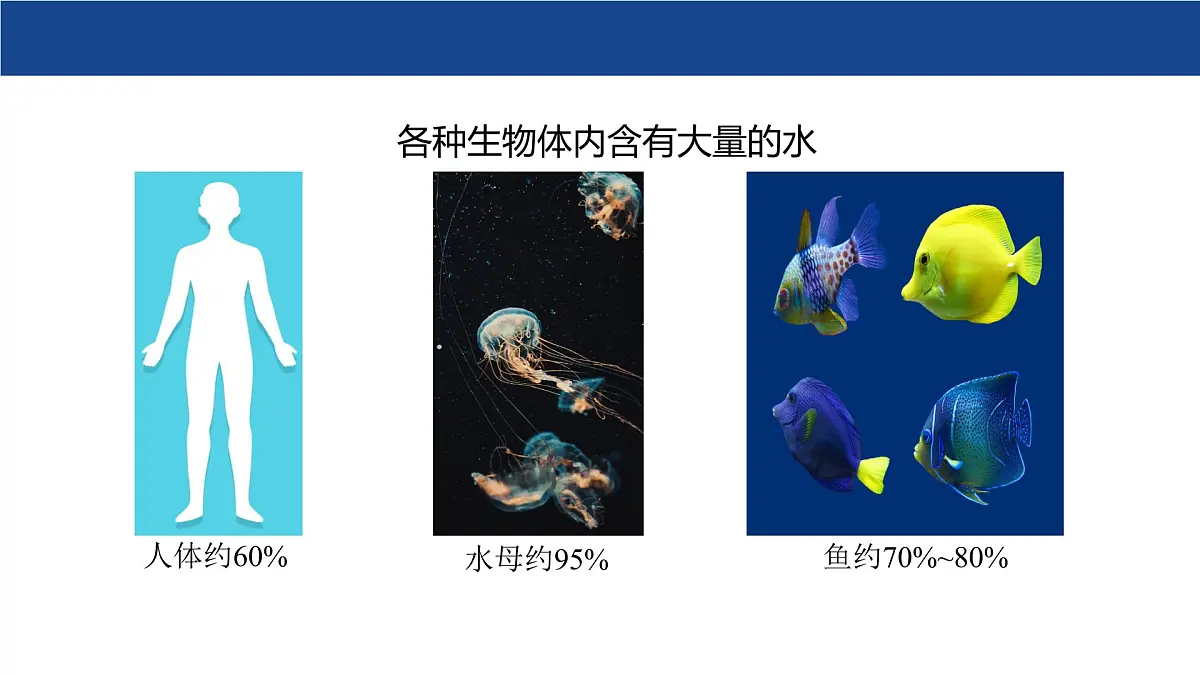 3.4 水资源课件-2024-2025学年科粤版化学九年级上册第6页