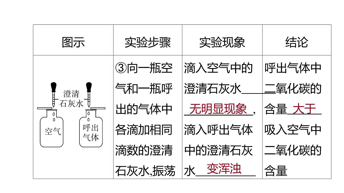 科粤版（2024）化学九年级上册 1.4物质性质的探究（第2课时） 课件第7页