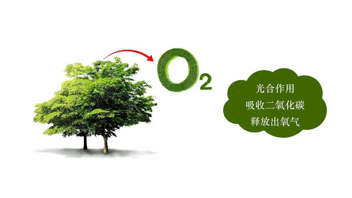 科粤版（2024）化学九年级上册 3.2氧气的制取第一课时 课件第2页
