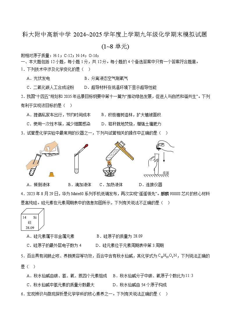 【9化期末】合肥市科大附中高新中学2024~2025学年九年级上学期化学期末模拟试题第1页