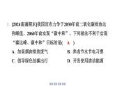 沪科版化学（2024）九年级上册 第五章 跨学科实践活动4探寻低碳生活的行动方案课件