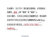 沪科版化学（2024）九年级上册 第五章 跨学科实践活动4探寻低碳生活的行动方案课件