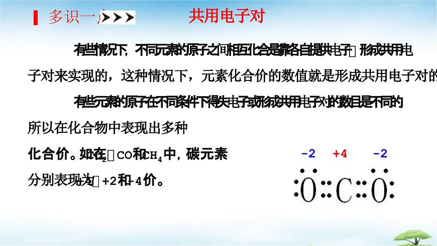 鲁教版初中化学九年级上册第二单元《认识物质的构成》第三节《物质组成的表示》第二课时 课件第4页