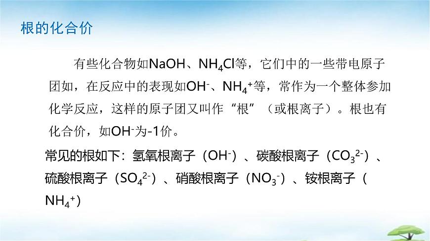 鲁教版初中化学九年级上册第二单元《认识物质的构成》第三节《物质组成的表示》第二课时 课件第6页