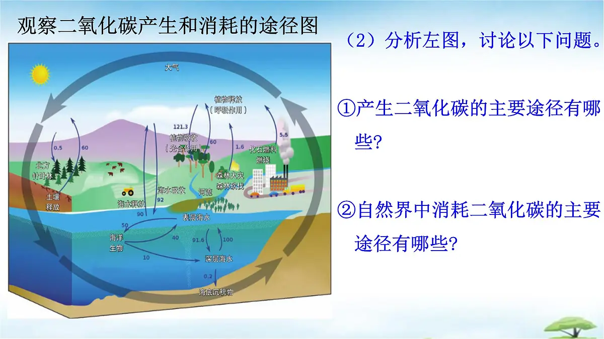 鲁教版初中化学九年级上册第六单元《控制燃烧》第三节《碳达峰与碳中和》 课件第3页
