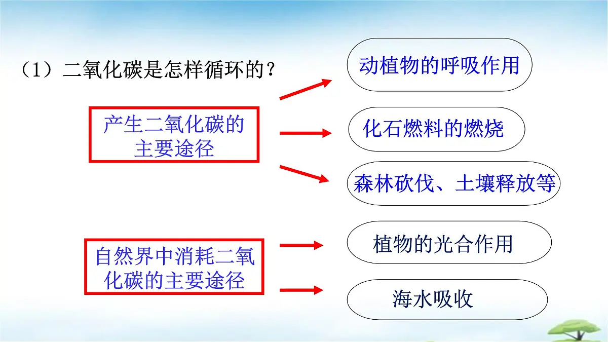 鲁教版初中化学九年级上册第六单元《控制燃烧》第三节《碳达峰与碳中和》 课件第4页