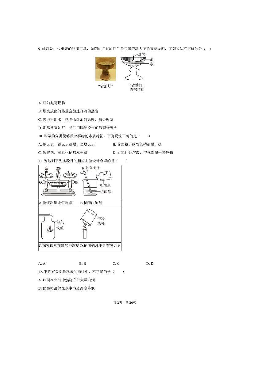 2025年广西大学附中中考化学模拟试卷(含解析)第2页