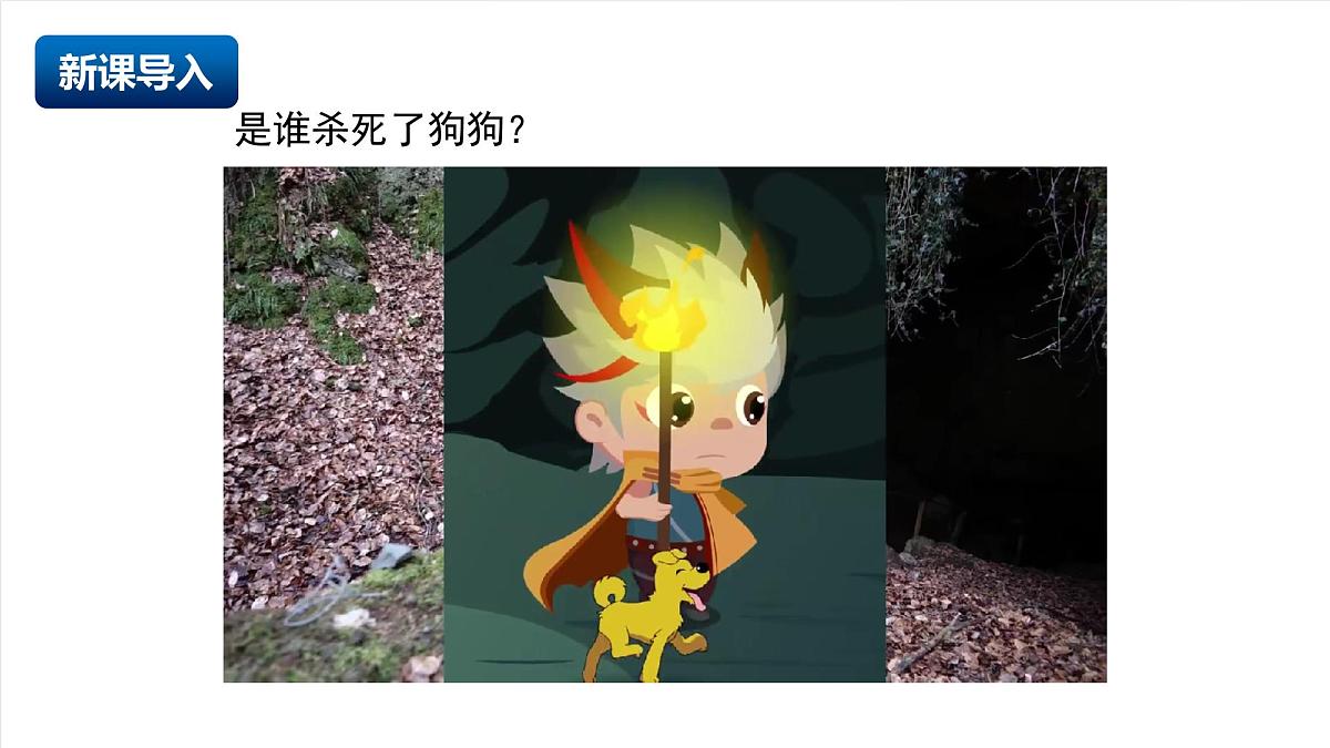北京课改版化学九上6.1《 二氧化碳对环境的影响》（同步课件）第3页