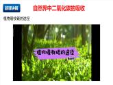 北京課改版化學九上6.3《二氧化碳的吸收》 （同步課件）