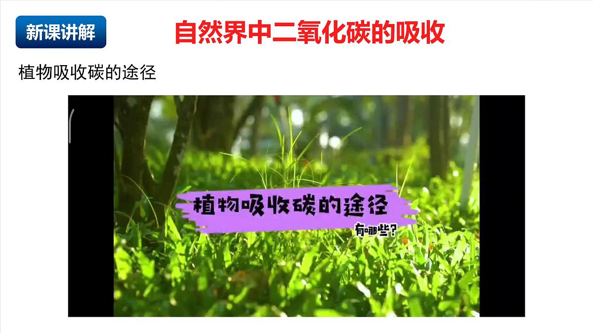 北京课改版化学九上6.3《二氧化碳的吸收》 （同步课件）第4页