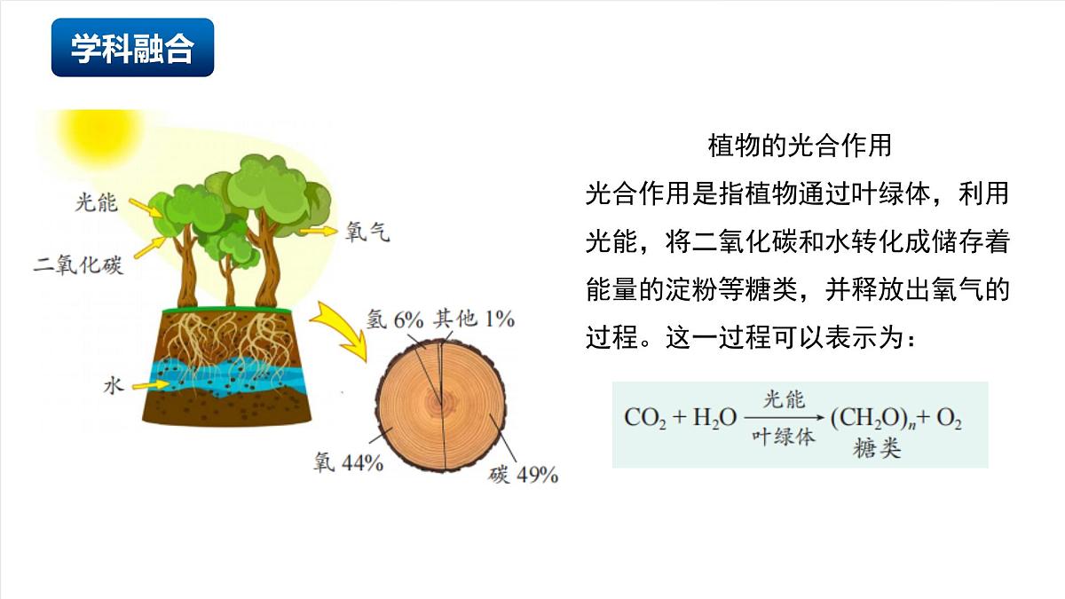 北京课改版化学九上6.3《二氧化碳的吸收》 （同步课件）第5页