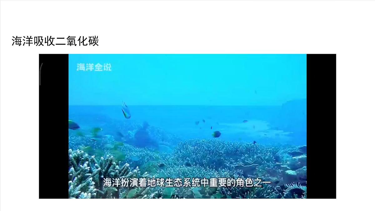 北京课改版化学九上6.3《二氧化碳的吸收》 （同步课件）第6页