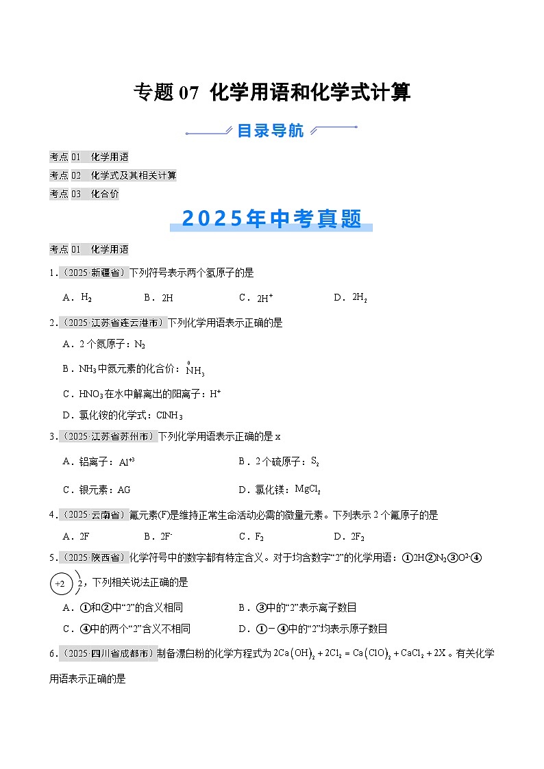 2025年中考化学真题分类汇编：专题07 化学用语和化学式计算（全国通用）（第01期）（原卷版）第1页