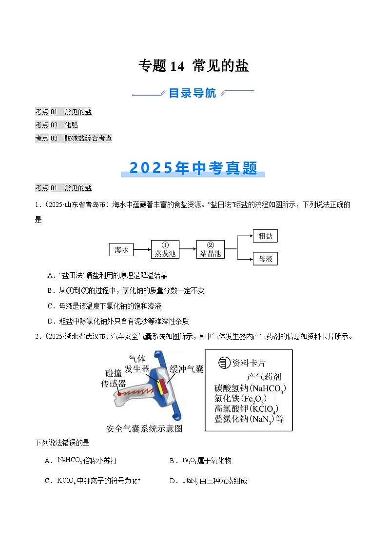 2025年中考化学真题分类汇编：专题14 常见的盐（全国通用）（第01期）（原卷版）第1页