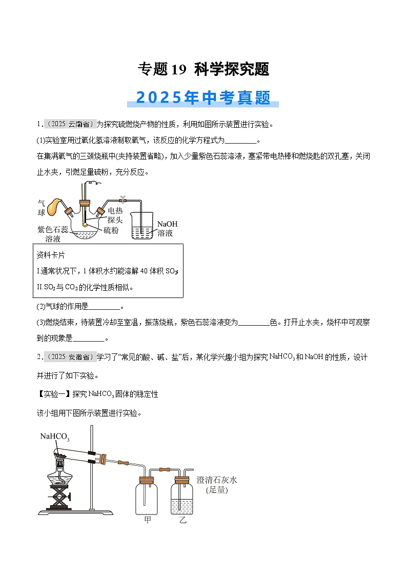 2025年中考化学真题分类汇编：专题19 科学探究题（全国通用）（第01期）（原卷版）第1页