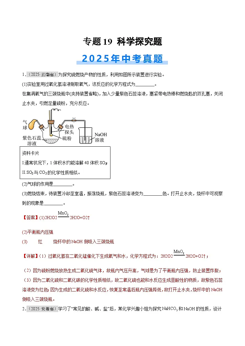 2025年中考化学真题分类汇编：专题19 科学探究题（全国通用）（第01期）（解析版）第1页