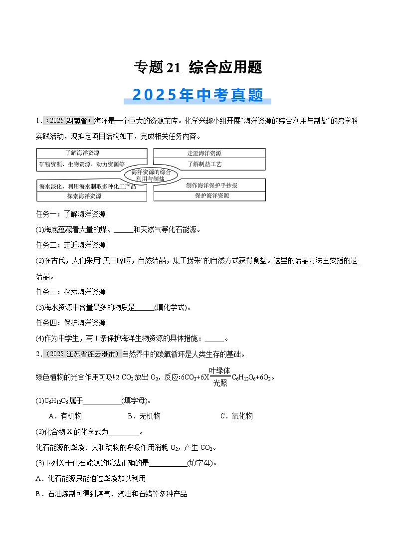 2025年中考化学真题分类汇编：专题21 综合应用题（全国通用）（第01期）（原卷版）第1页