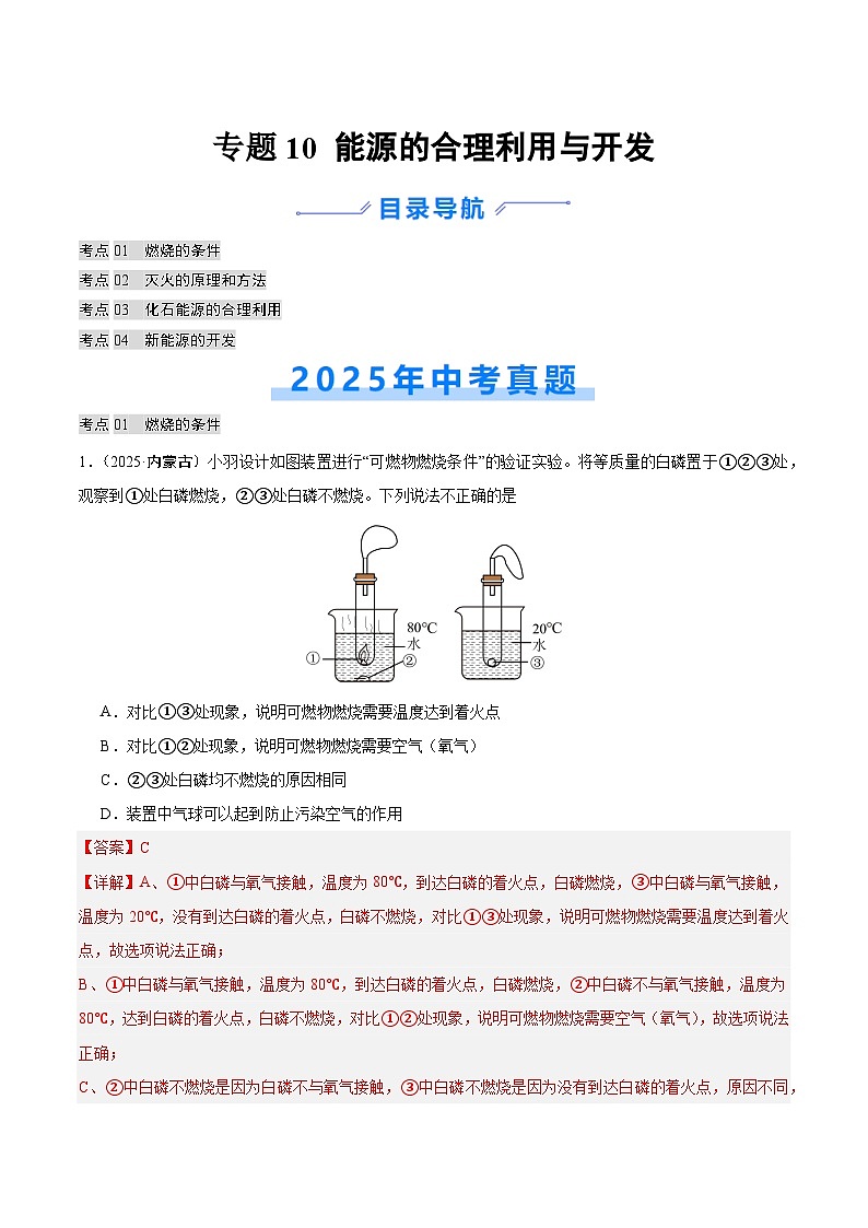 2025年中考化学真题分类汇编：专题10 能源的合理利用与开发（全国通用）（第02期）（解析版）第1页