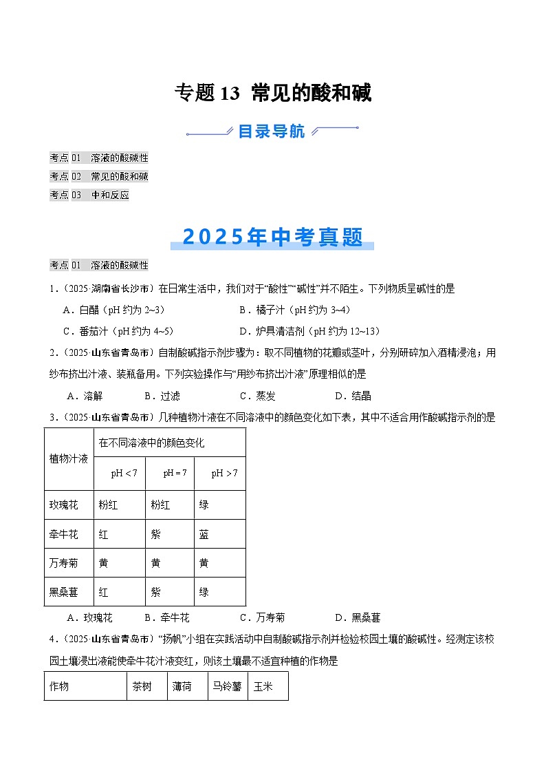 2025年中考化学真题分类汇编：专题13 常见的酸和碱（全国通用）（第02期）（原卷版）第1页
