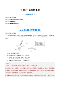 2025年中考化学真题分类汇编：专题17 坐标图像题（全国通用）（第02期）（解析版）