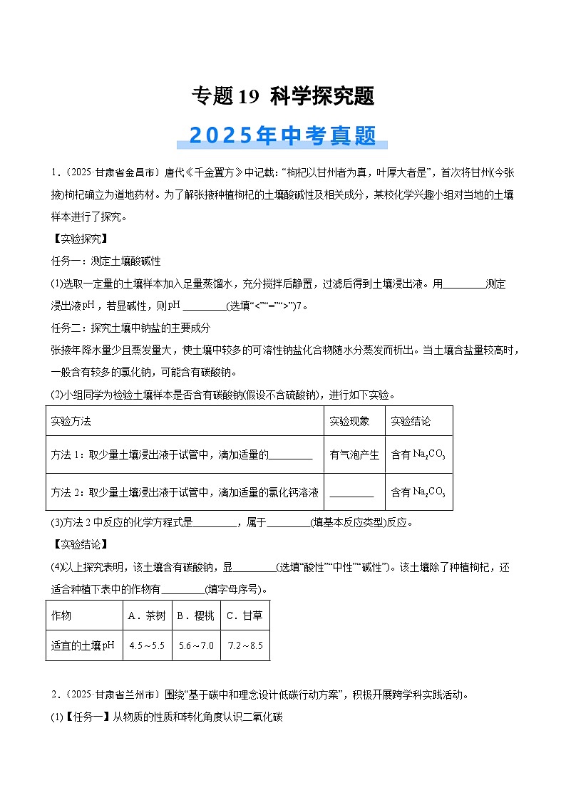 2025年中考化学真题分类汇编：专题19 科学探究题（全国通用）（第02期）（原卷版）第1页