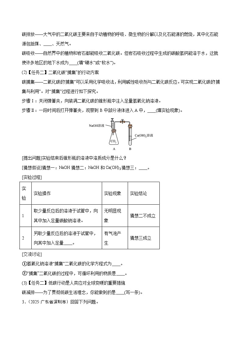 2025年中考化学真题分类汇编：专题19 科学探究题（全国通用）（第02期）（原卷版）第2页