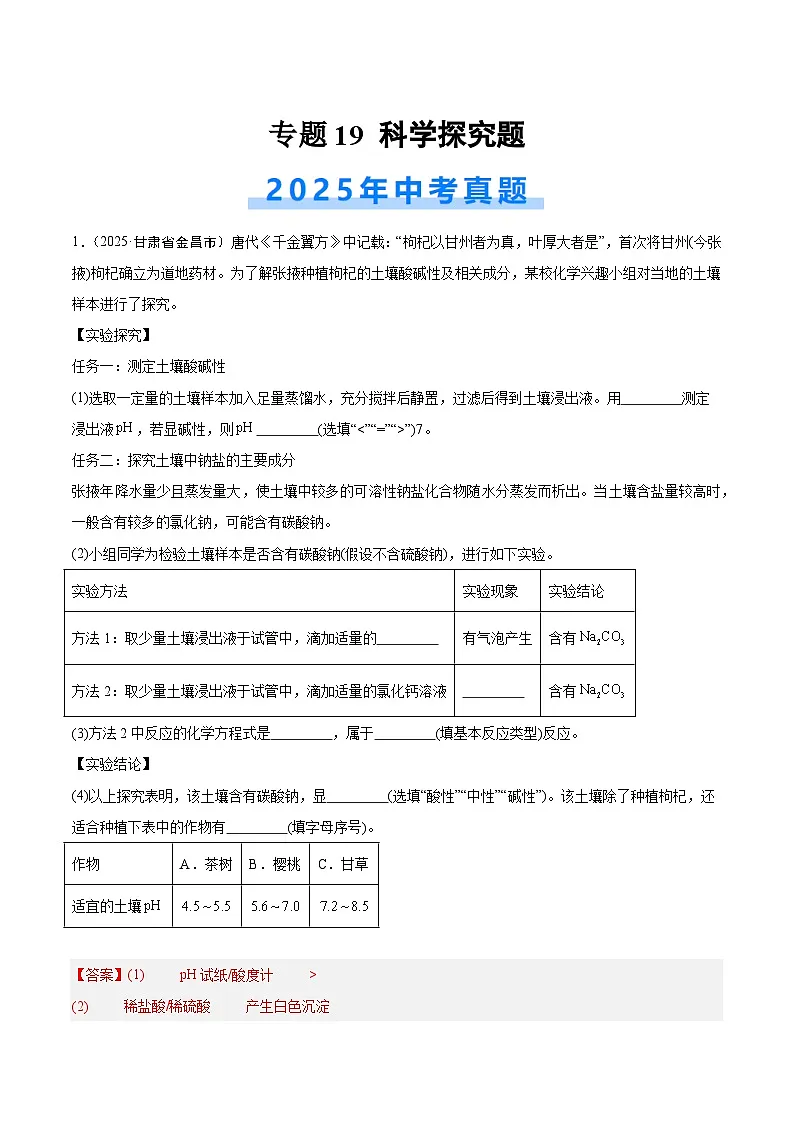 2025年中考化学真题分类汇编：专题19 科学探究题（全国通用）（第02期）（解析版）第1页