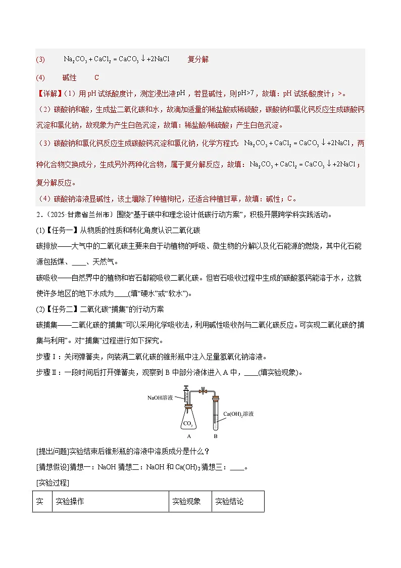 2025年中考化学真题分类汇编：专题19 科学探究题（全国通用）（第02期）（解析版）第2页