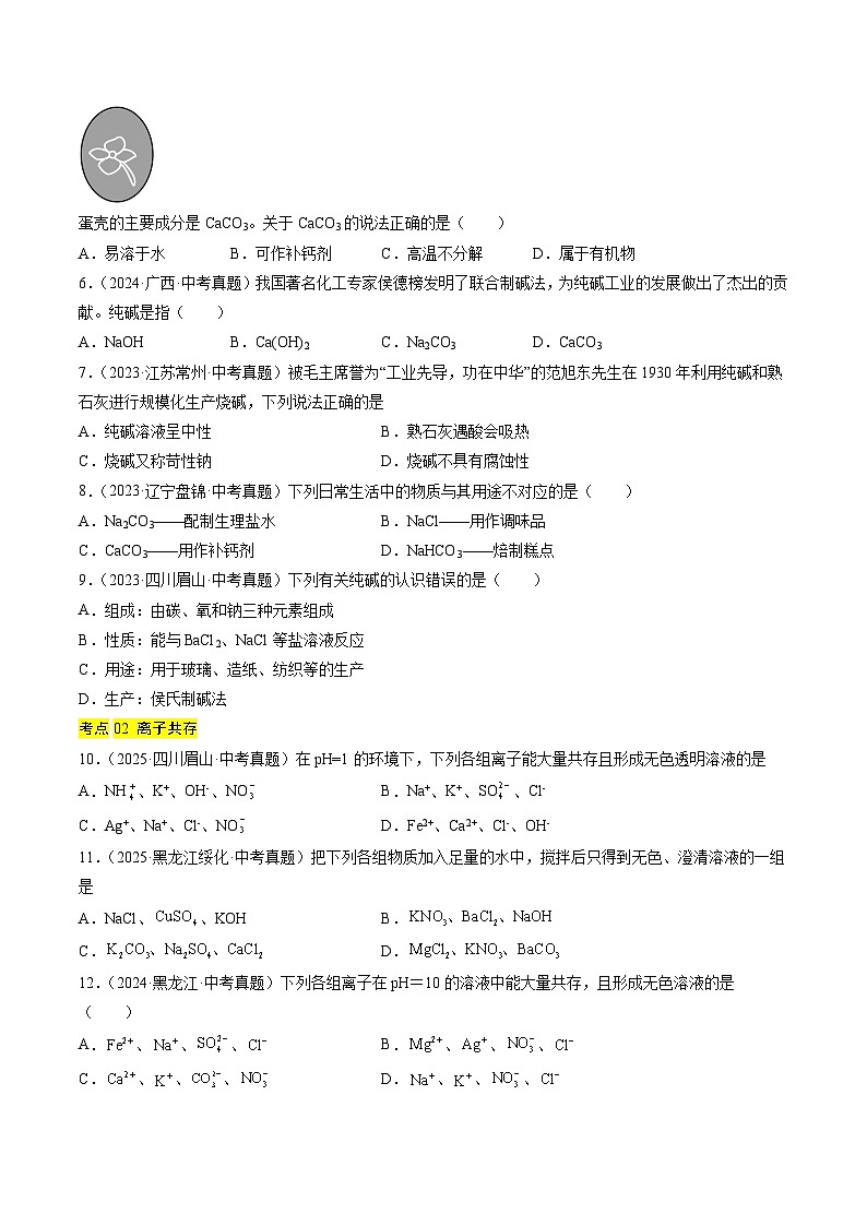 三年（2023-2025）中考化学真题分类汇编：专题09 盐和化肥（原卷版）第2页