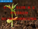 人教版化學(xué)2024九年級(jí)下冊(cè) 第10單元 跨學(xué)科實(shí)踐活動(dòng)9  探究土壤酸堿性對(duì)植物生長(zhǎng)的影響 PPT課件