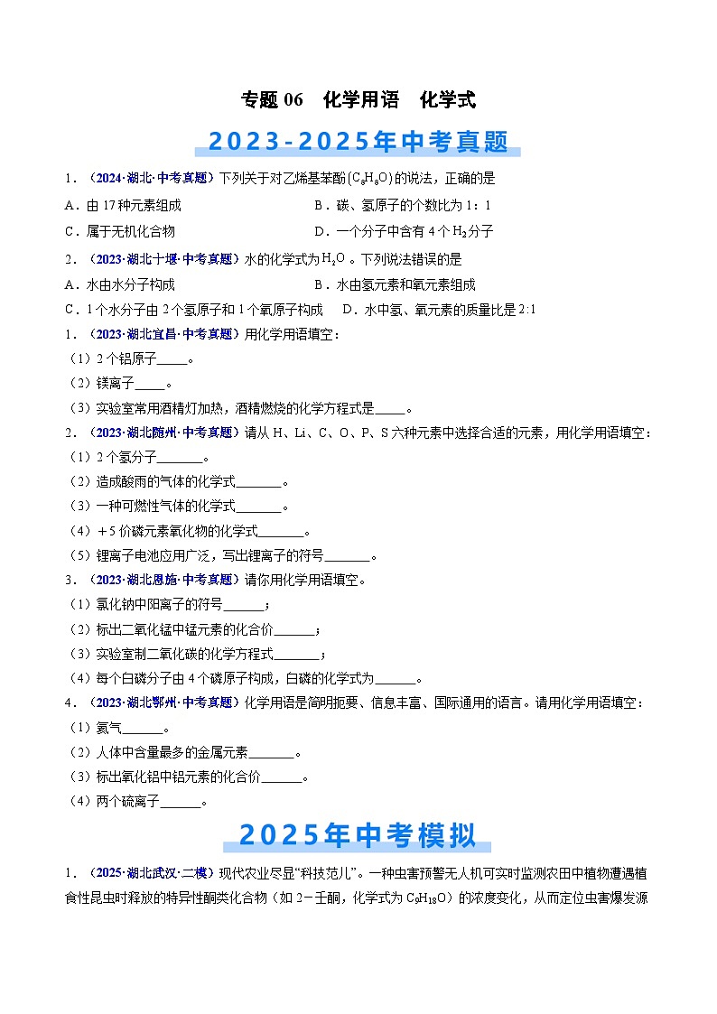 专题06 化学用语 化学式（原卷版）【好题汇编】三年（2023-2025）中考化学真题分类汇编 （湖北专用）第1页