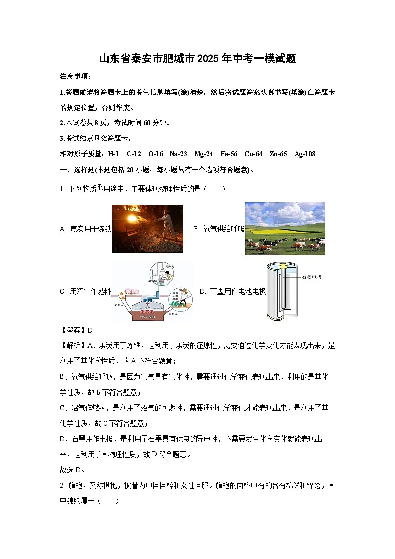 山东省泰安市肥城市2025年中考一模试题化学试卷（解析版）第1页
