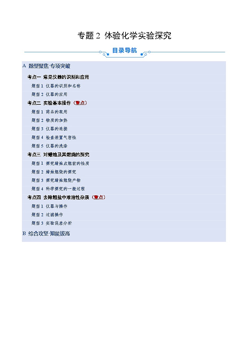专题2 体验化学实验探究（专项训练）（解析版）第1页