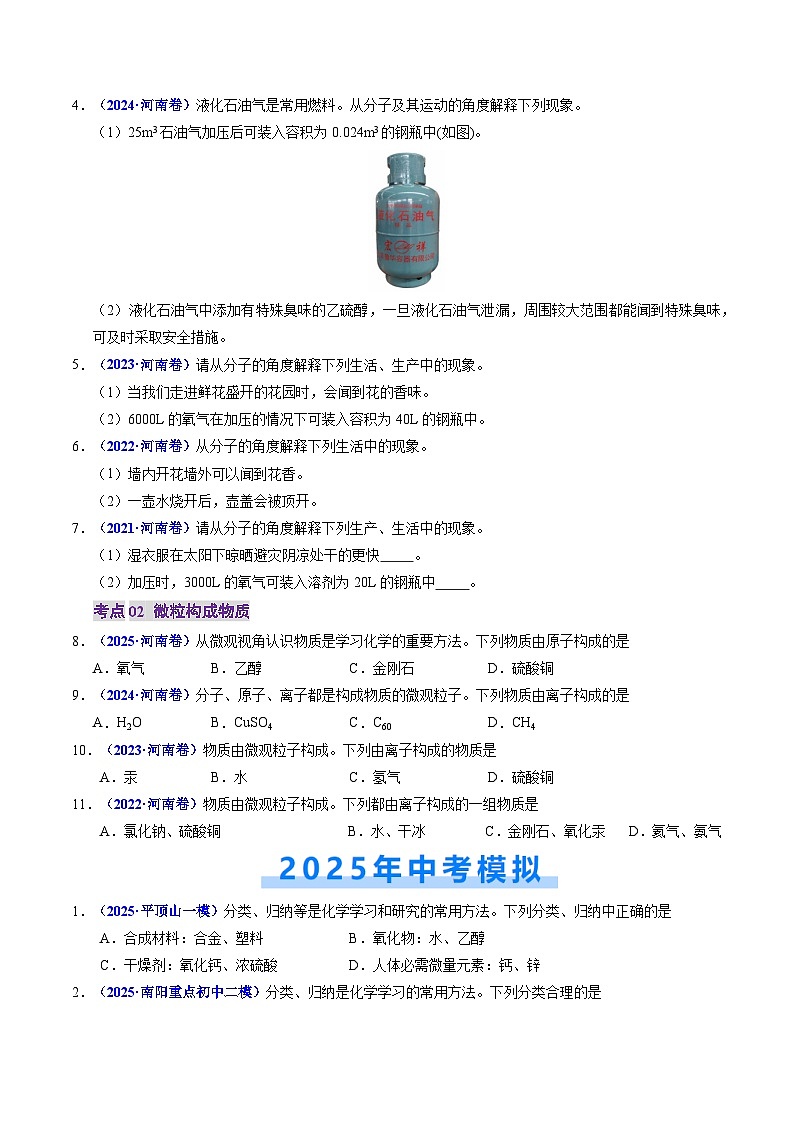 专题06 物质的多样性 构成物质的微粒（原卷版）第2页