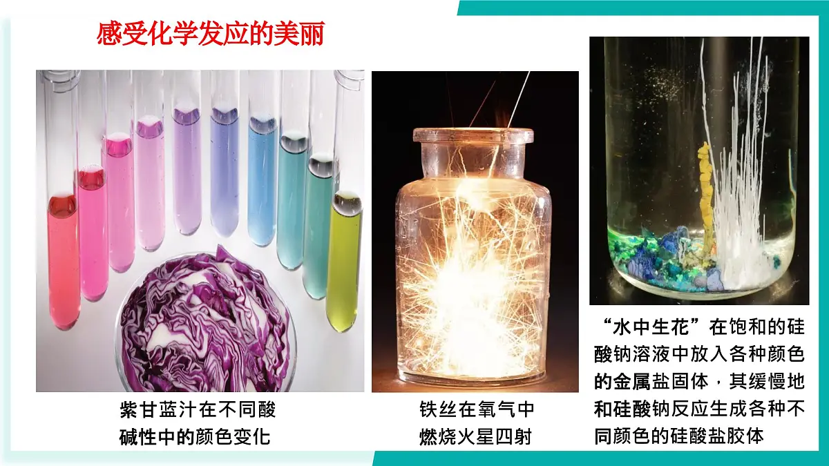 开学第一课第8页