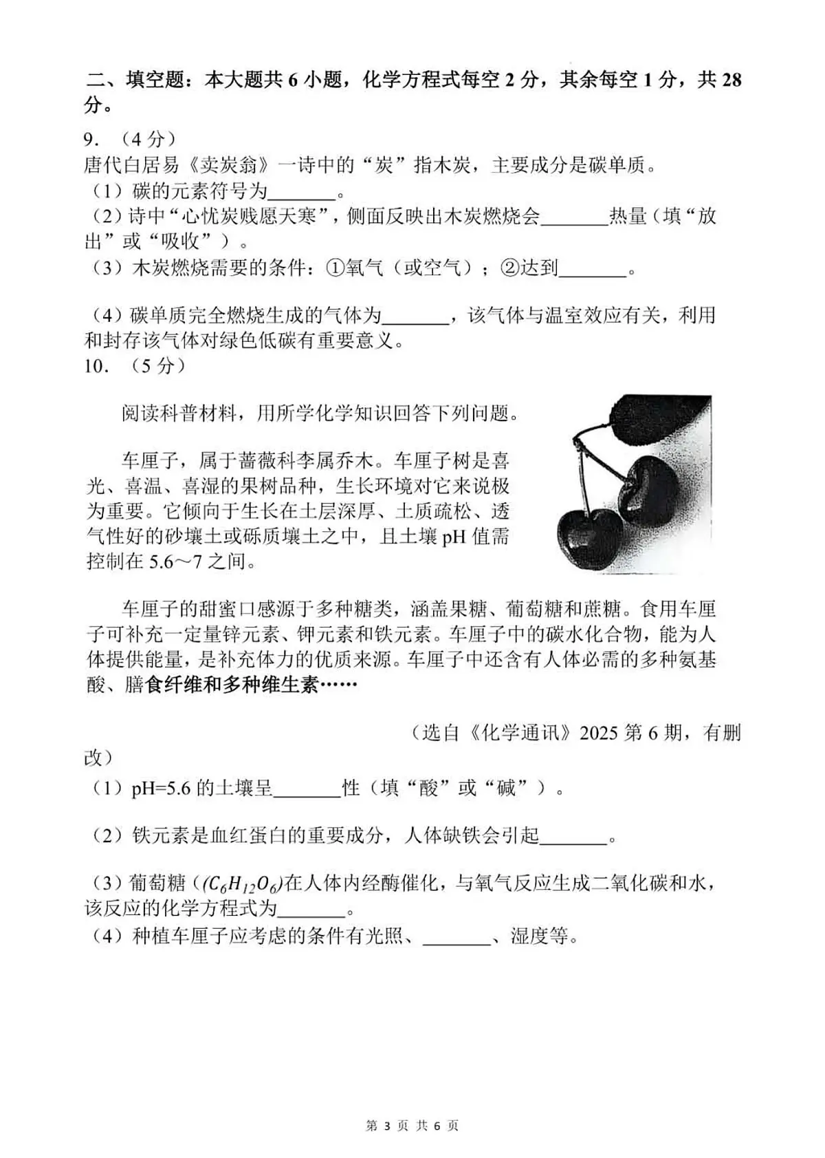 2025年西藏自治区中考化学真题（无答案）第3页
