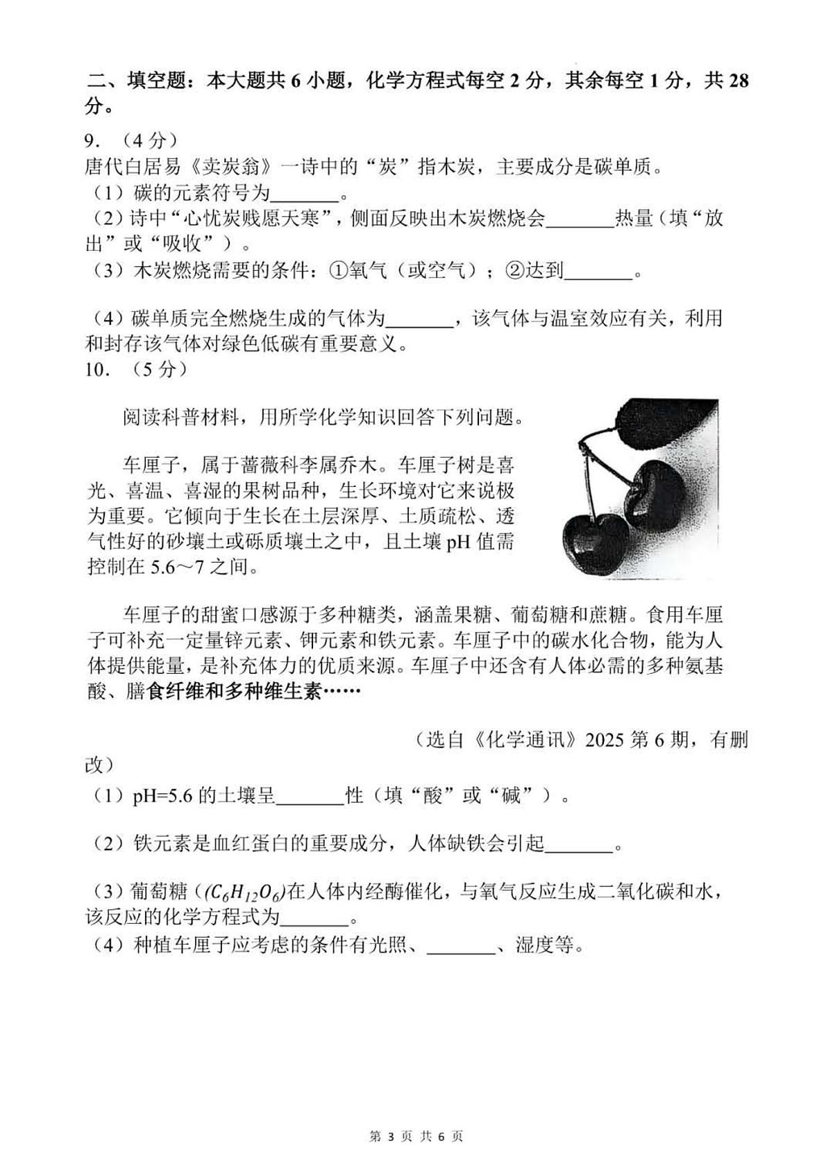 2025年西藏自治区中考化学真题（无答案）第3页