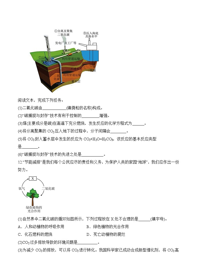 课题2 碳的氧化物（第2课时）（分层作业）-九年级化学上册同步高效课堂（人教版2024）（原卷版）第3页