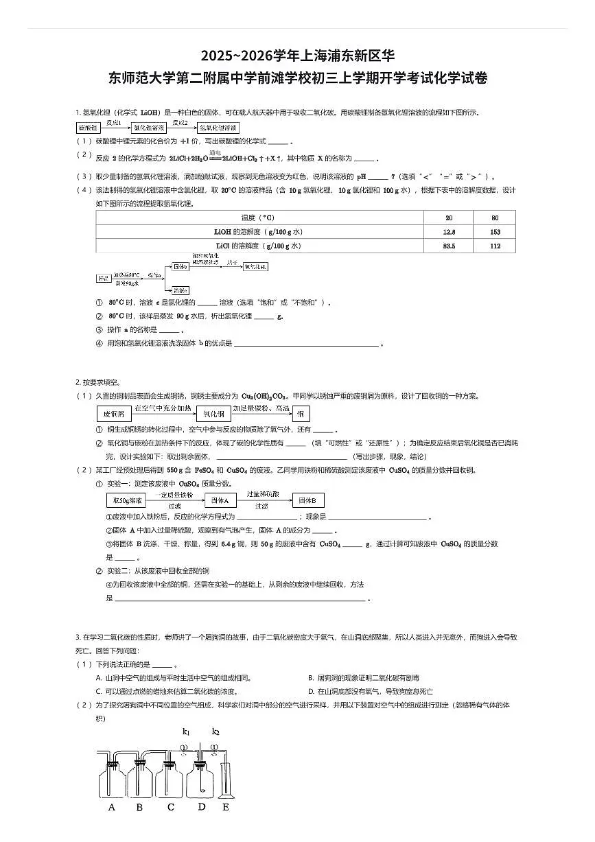 2025~2026学年上海浦东新区华东师范大学第二附属中学前滩学校初三上学期开学考试化学试卷（有答案解析）第1页