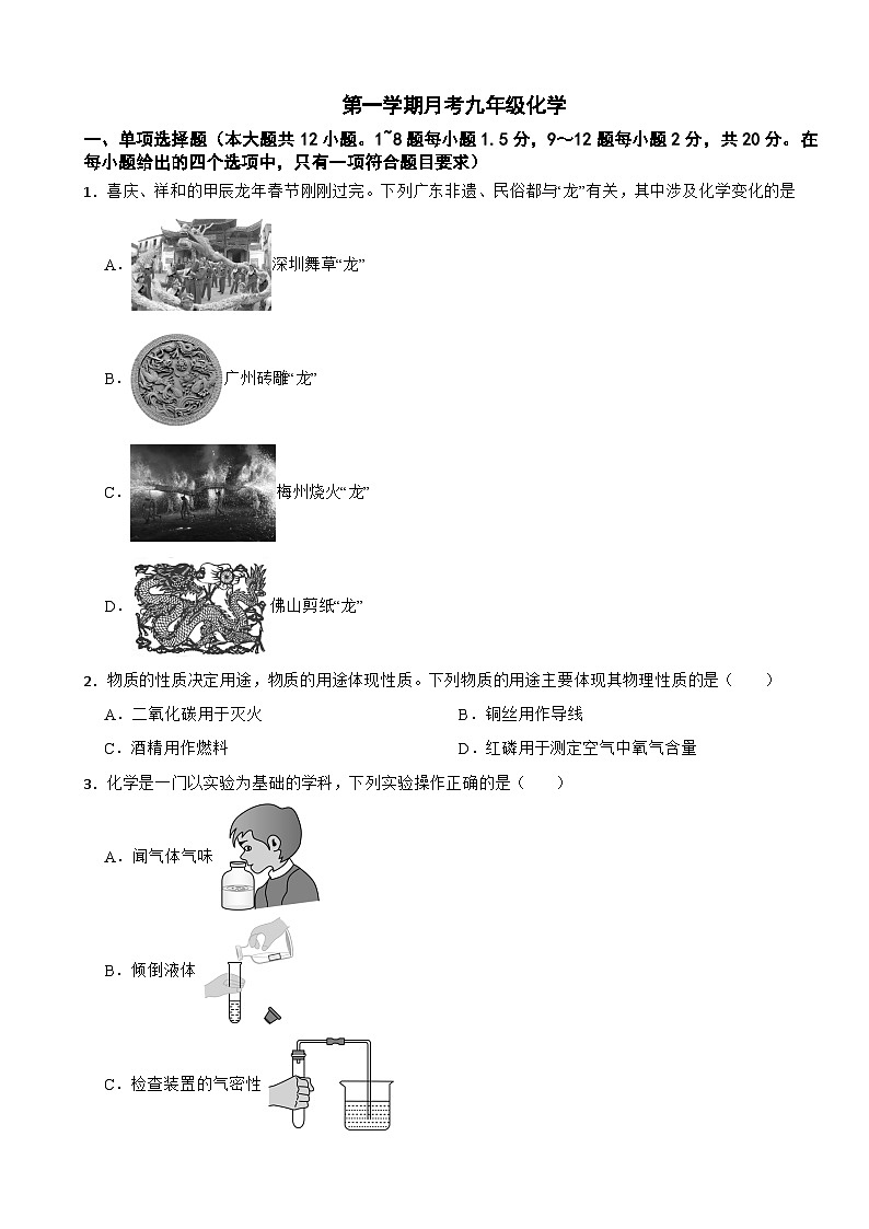 广东深圳龙岗区2025年第一学期月考九年级化学附答案第1页