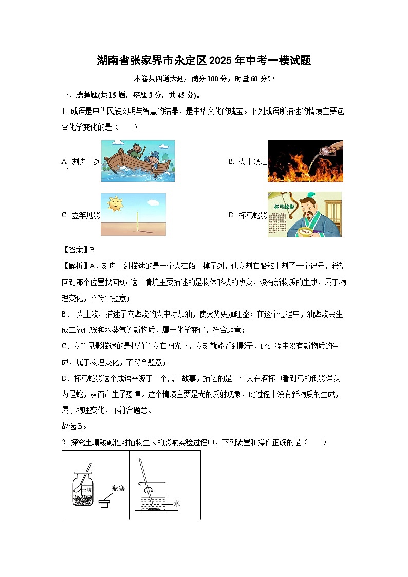 湖南省张家界市永定区2025年中考一模化学试卷（解析版）第1页