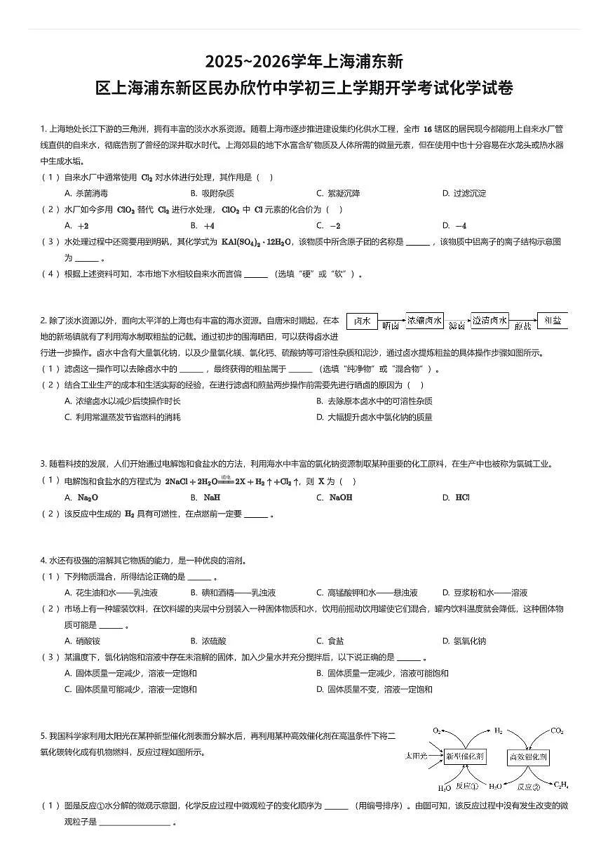 2025~2026学年上海浦东新区上海浦东新区民办欣竹中学初三上学期开学考试化学试卷（有答案解析）第1页