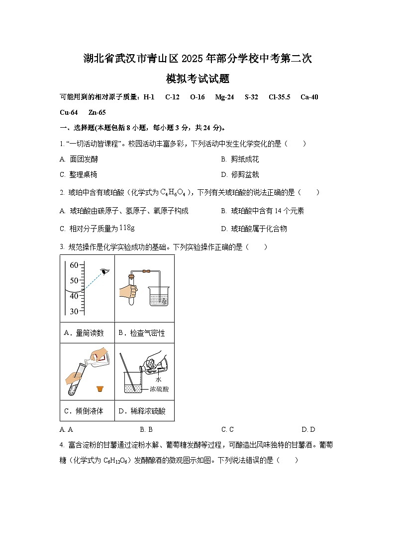 湖北省武汉市青山区2025年部分学校中考第二次模拟考试化学试卷（学生版）第1页
